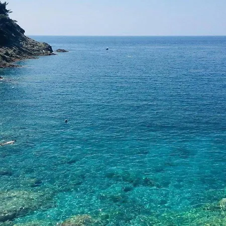 Nido Al Mare
